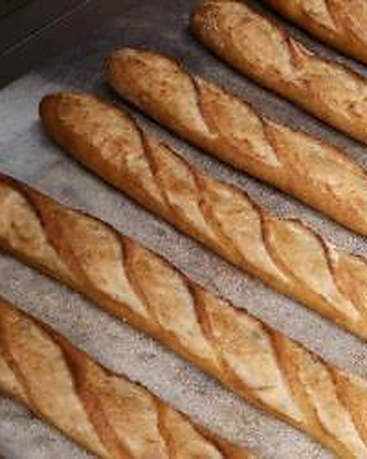 A closer view of the bakery's fresh sourdough baguettes, deeply slashed and dusted with flour