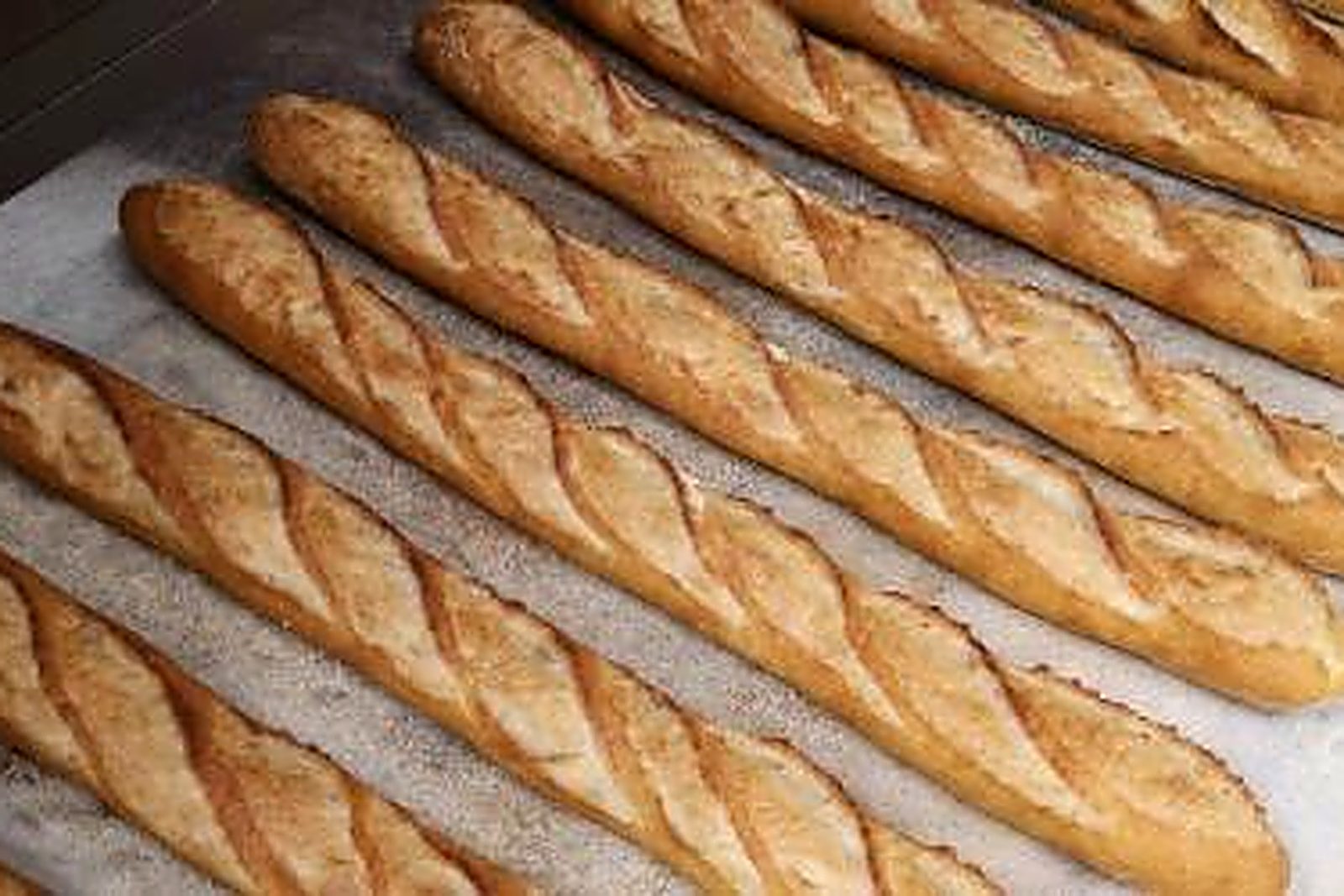 Fresh sourdough baguettes, deeply slashed, cooling on a floured tray at An Bácús Beag